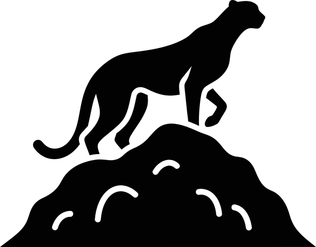 Free cheetah wildcat big cat vector