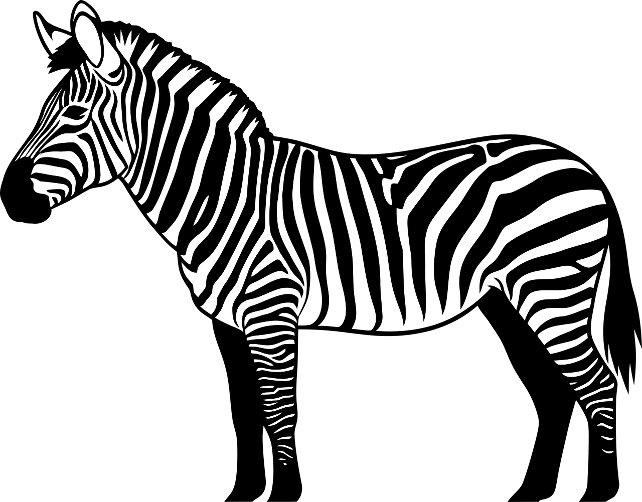 Page 2 - Over 100 Free Zebra Vectors - Pixabay