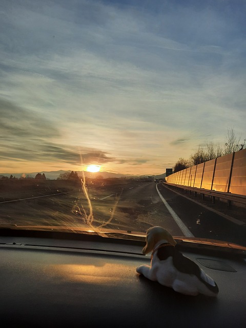 Free Sunset Sun photo and picture