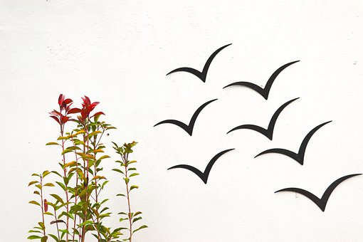 Obra De Arte, Mural, Fondo, Flores