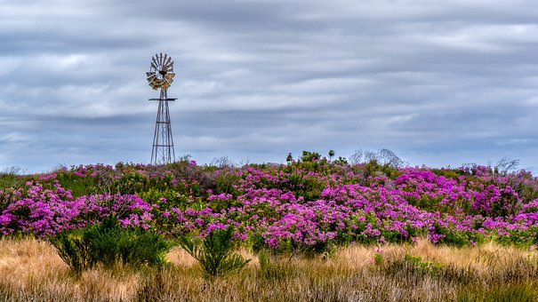 Free Landscape Nature photo and picture