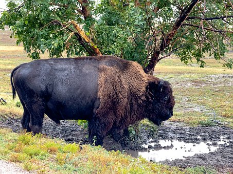 Free Usa Nature photo and picture
