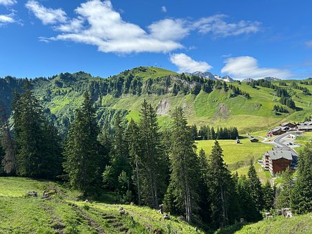 Garten, Natur, Landschaft, Himmel, Berge