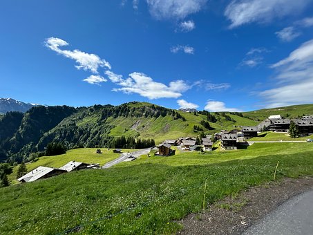 Natur, Landschaft, Wald, Baum, Berg