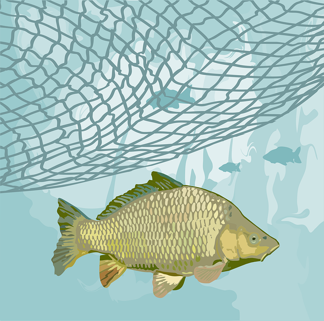Free common carp fishing net pollution vector
