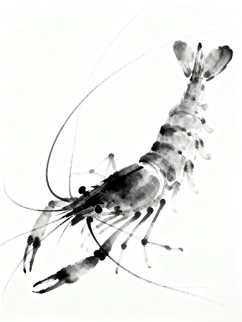 Free shrimp chinese ink drawing sumi-e illustration