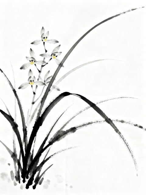 Free Orchid Chinese Flower illustration and picture