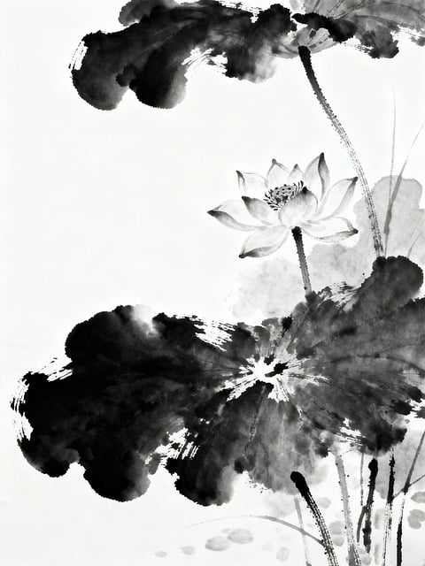 Free Lotus Water Lily illustration and picture