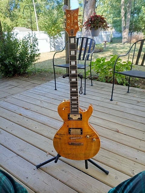 Free Les Paul Electric Guitar photo and picture