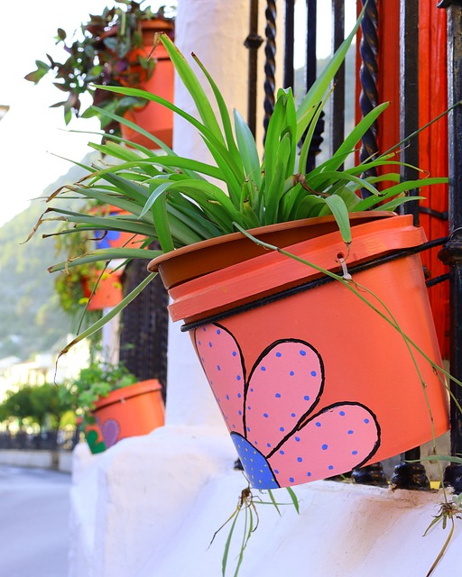 Free Flowerpot Andalusia photo and picture