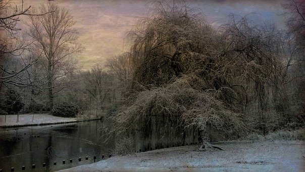 Parque, Panorama, Arvores, Berlim