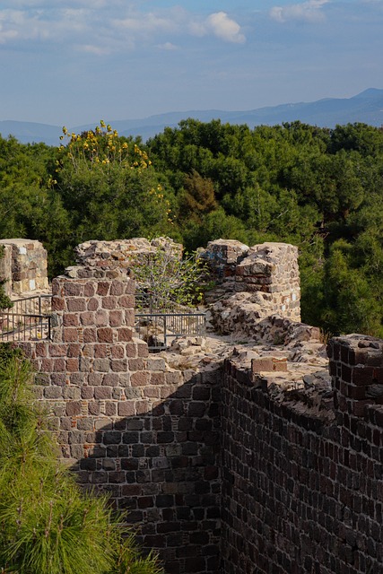 Castillo, Arquitectura