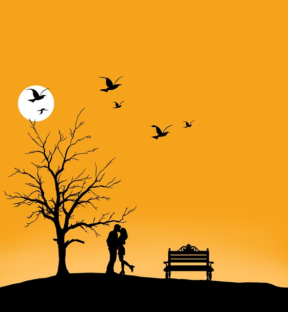 Free Sunset Sky photo and picture