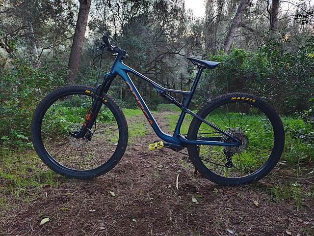 Free Orbea Orbea Oiz photo and picture