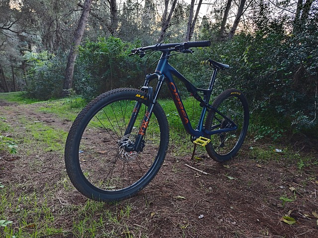 Free Orbea Orbea Oiz photo and picture