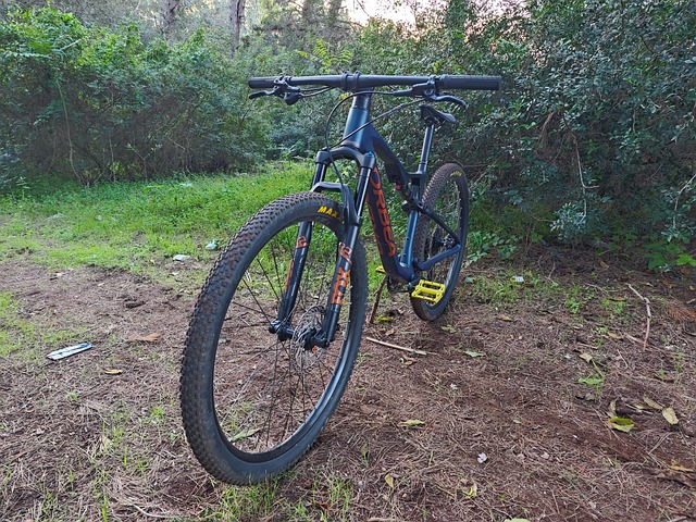 Free Orbea Orbea Oiz photo and picture