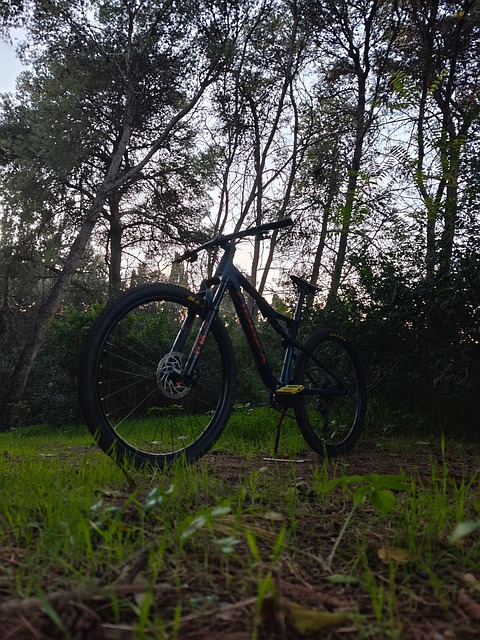 Free Orbea Orbea Oiz photo and picture