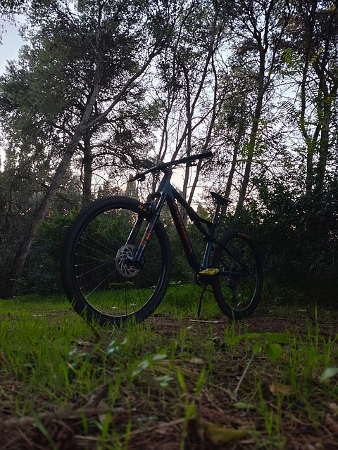 Free Orbea Orbea Oiz photo and picture