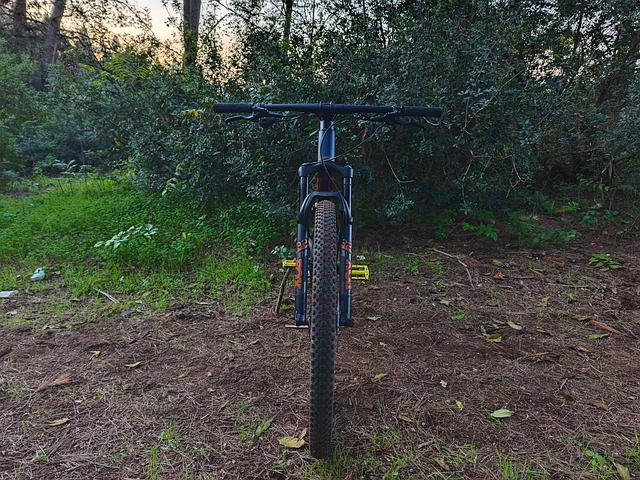 Free Orbea Orbea Oiz photo and picture