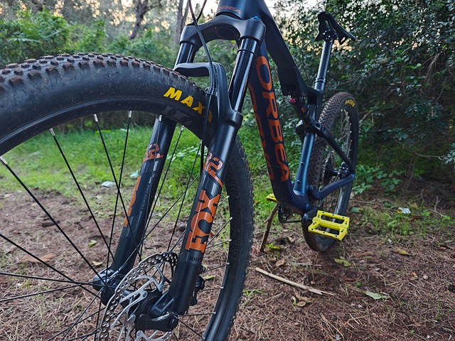 Free Orbea Orbea Oiz photo and picture
