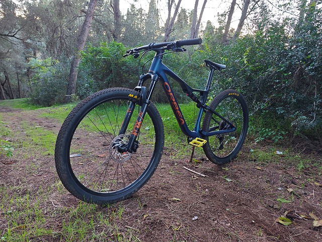 Free Orbea Orbea Oiz photo and picture