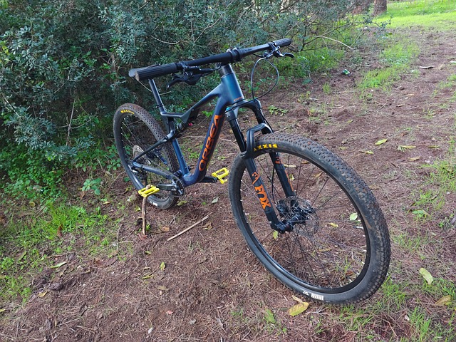 Free Orbea Orbea Oiz photo and picture
