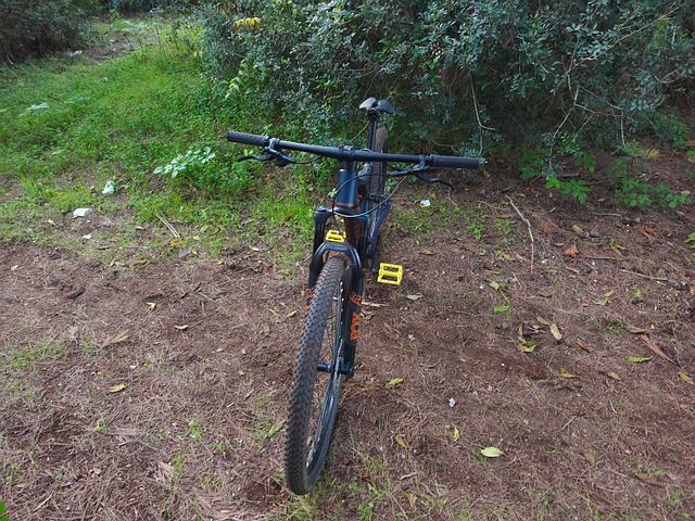Free Orbea Orbea Oiz photo and picture