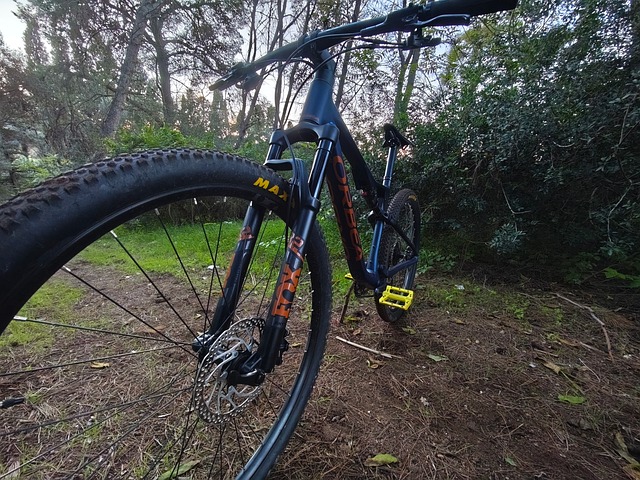 Free Orbea Orbea Oiz photo and picture