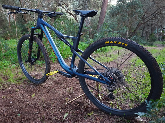 Free Orbea Orbea Oiz photo and picture