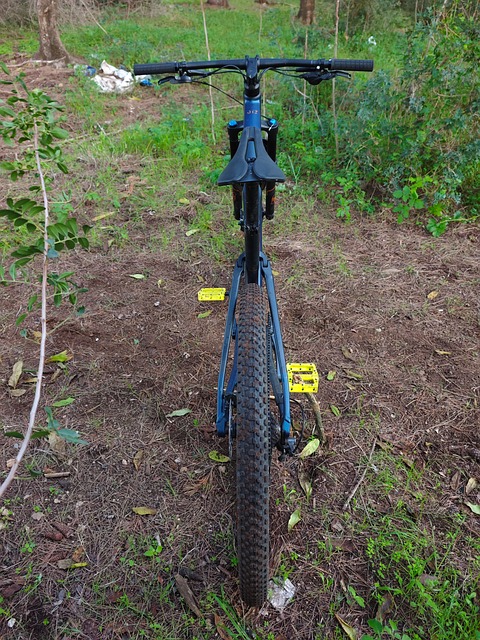 Free Orbea Orbea Oiz photo and picture