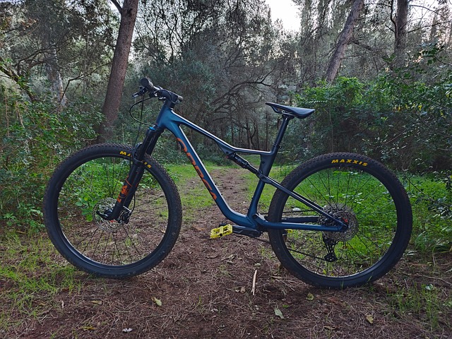 Free Orbea Orbea Oiz photo and picture