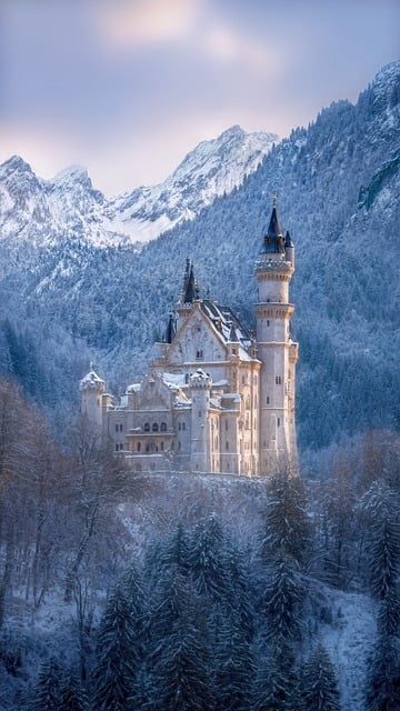 Schloss, Architektur, Winter
