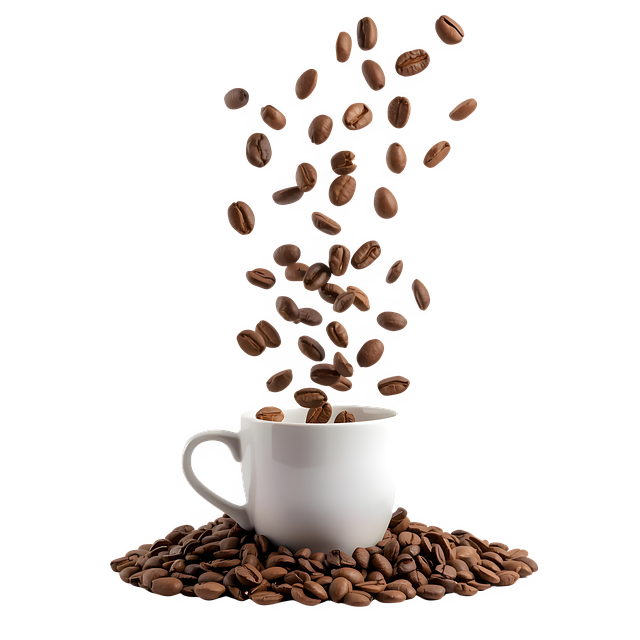 Free coffee beans coffee roasted coffee illustration