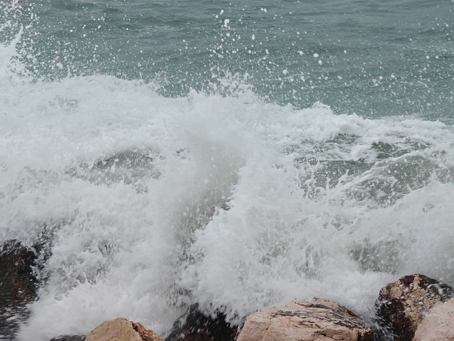 Free Sea Winter photo and picture