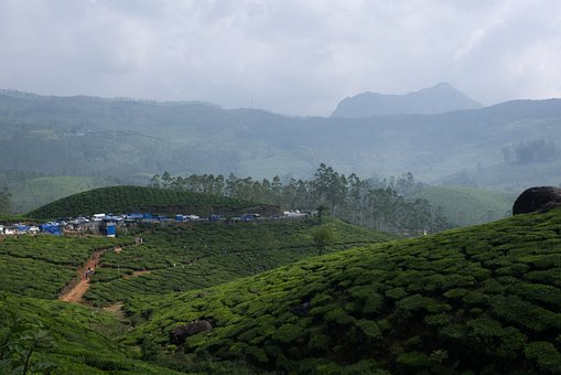 Kerala, Kerala Natur, Kerala Landskab