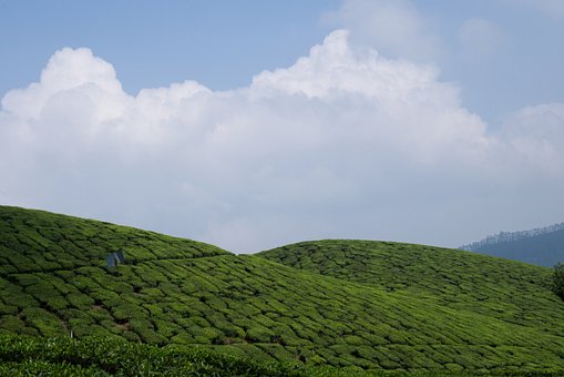 Kerala, Kerala Natur, Kerala Landskab