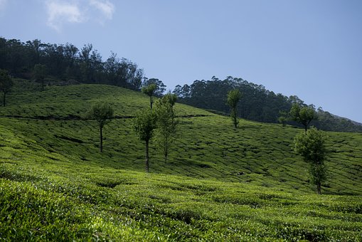 Kerala, Kerala Natur, Kerala Landskab