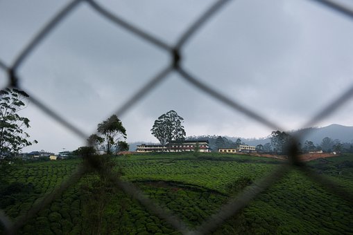 Kerala, Kerala Natur, Kerala Landskab