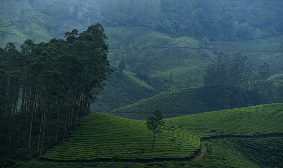Kerala, Kerala Natur, Kerala Landskab