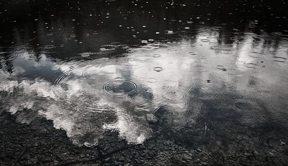 Free Rain Raindrops photo and picture