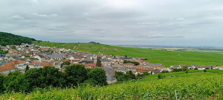 Wein, Elsass, Frankreich, Weinberge