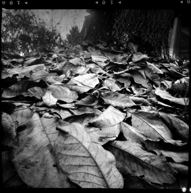 Speldenprik, Pinhole Camera, Ranica