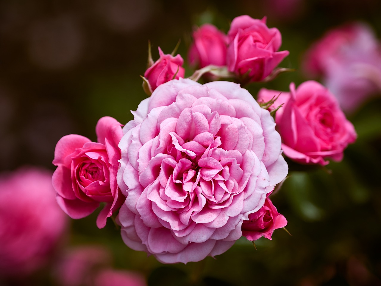 Fine Art - free online jigsaw puzzle photo