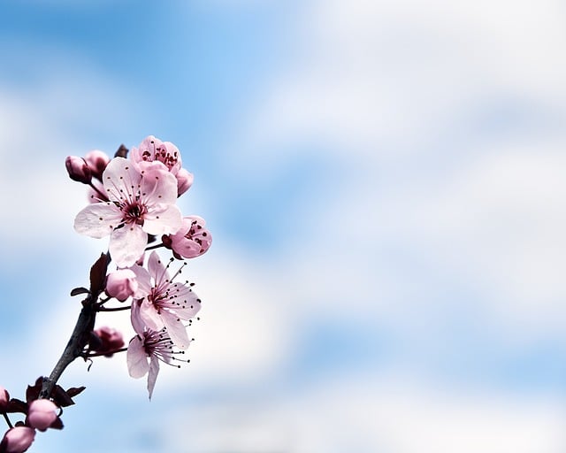 Free Fine Art Cool Backgrounds photo and picture