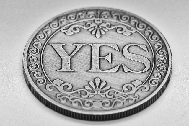 Free Silver Coin Yes photo and picture
