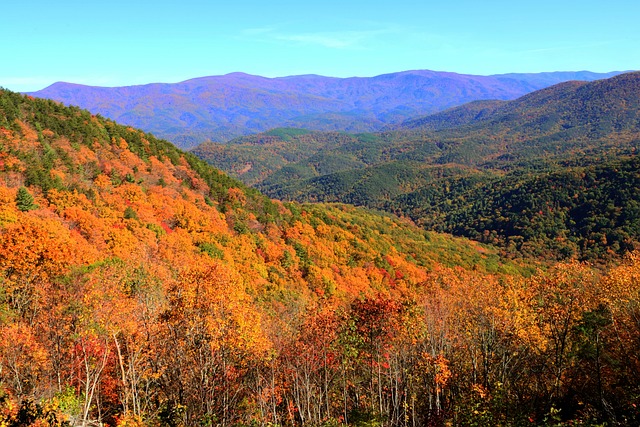 Free Autumn Nature photo and picture