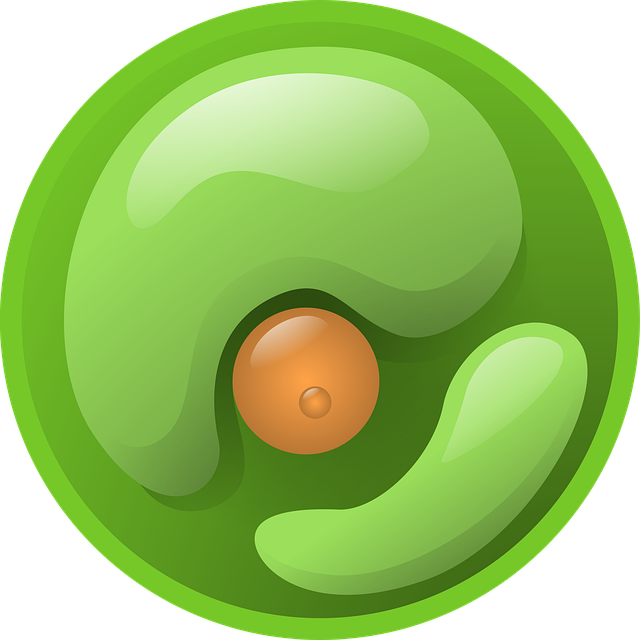 Free chlorella green alga illustration