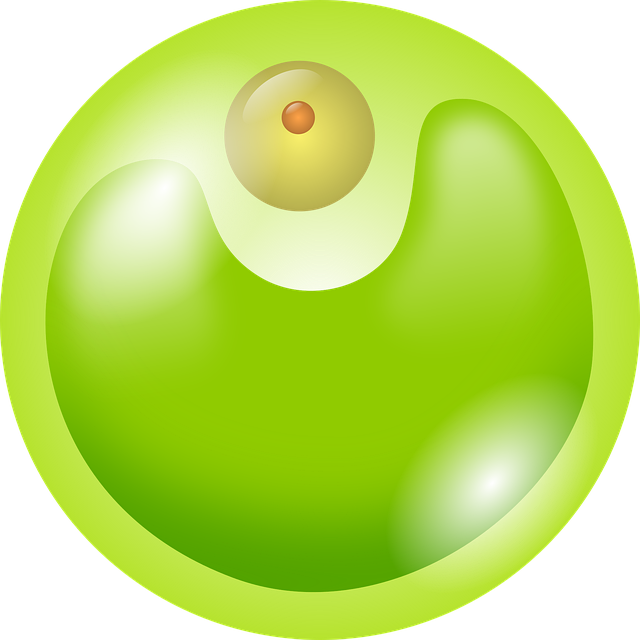 Free chlorella green alga illustration