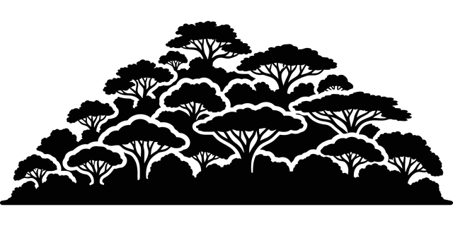 Free forest trees canopy illustration