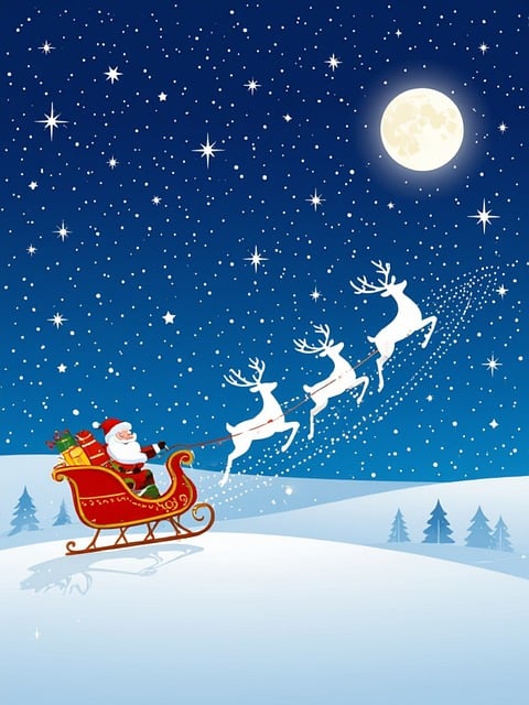 Free christmas winter christmas pictures illustration